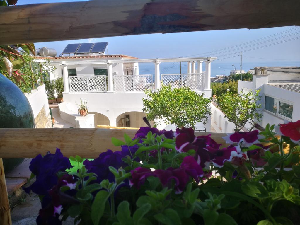 Villa Patrizi Capri Esterno foto